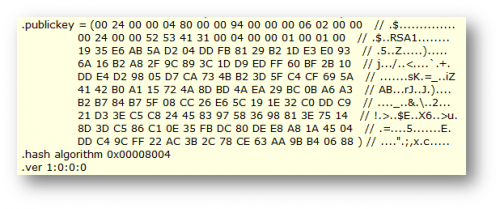 Dot NET Assemblies and Strong Name Signature