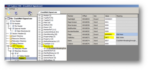 Dot NET Assemblies and Strong Name Signature