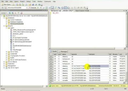 SQL Server Fundamentals for the Accidental DBA : Application Security