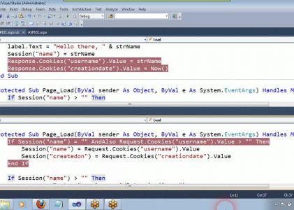 Server Side Programming with ASP.NET and Visual Basic