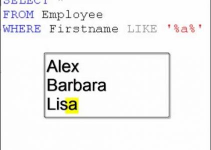 SQL Server Wildcard Queries Tutorial